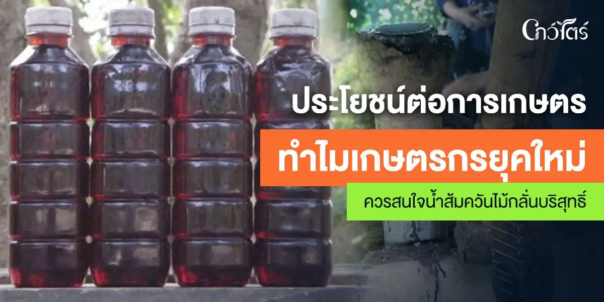 ประโยชน์ต่อการเกษตร ทำไมเกษตรกรยุคใหม่ควรสนใจน้ำส้มควันไม้กลั่นบริสุทธิ์