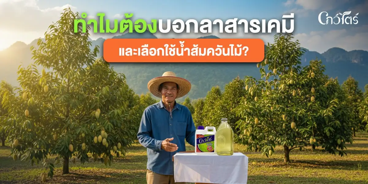 ทำไมต้องบอกลาสารเคมีและเลือกใช้น้ำส้มควันไม้