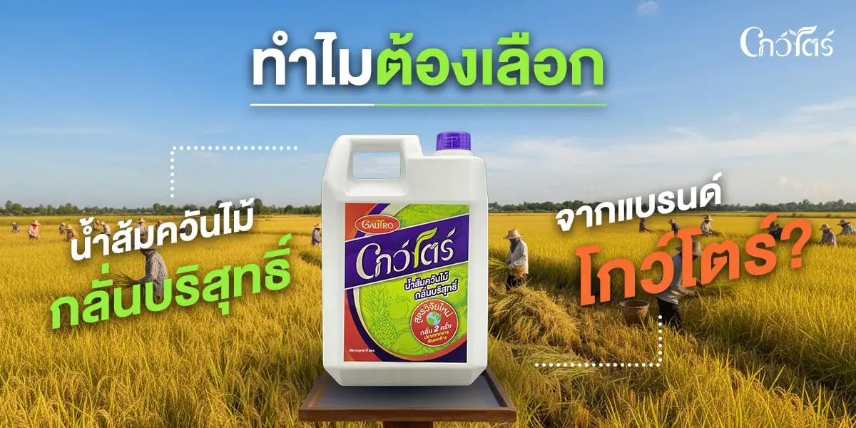 ทำไมต้องเลือกน้ำส้มควันไม้กลั่นบริสุทธิ์จากแบรนด์โกว์โตร์