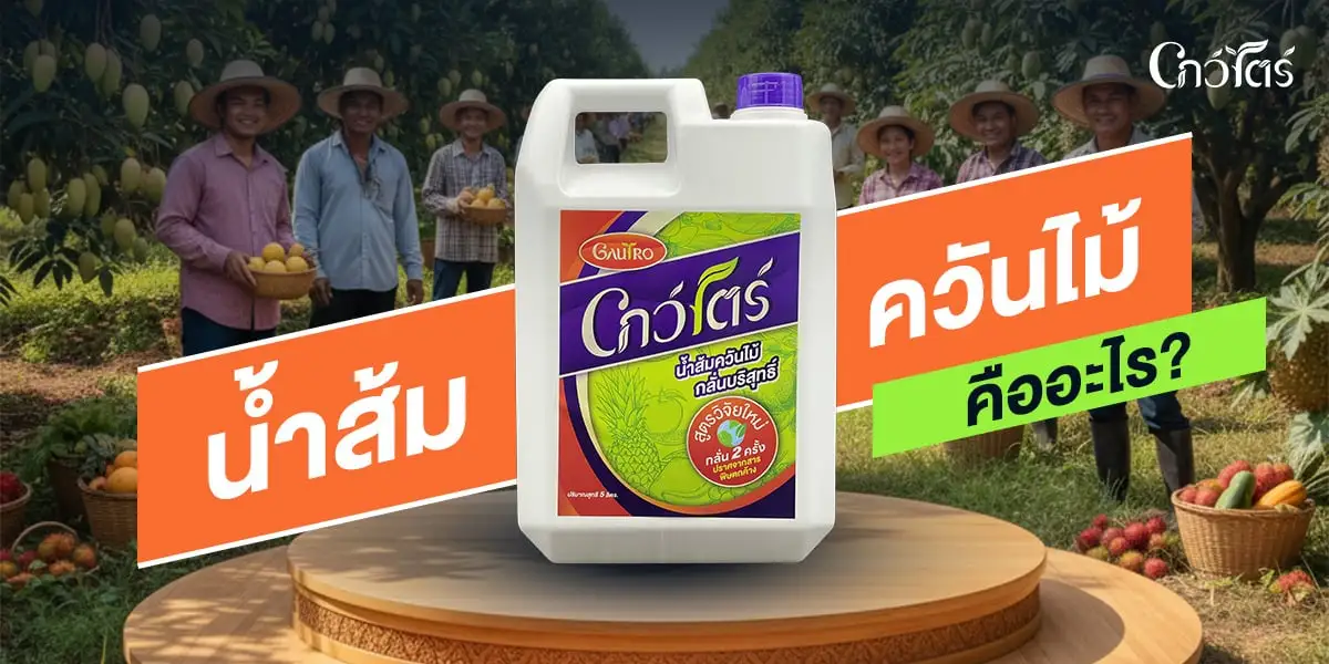 น้ำส้มควันไม้คืออะไร