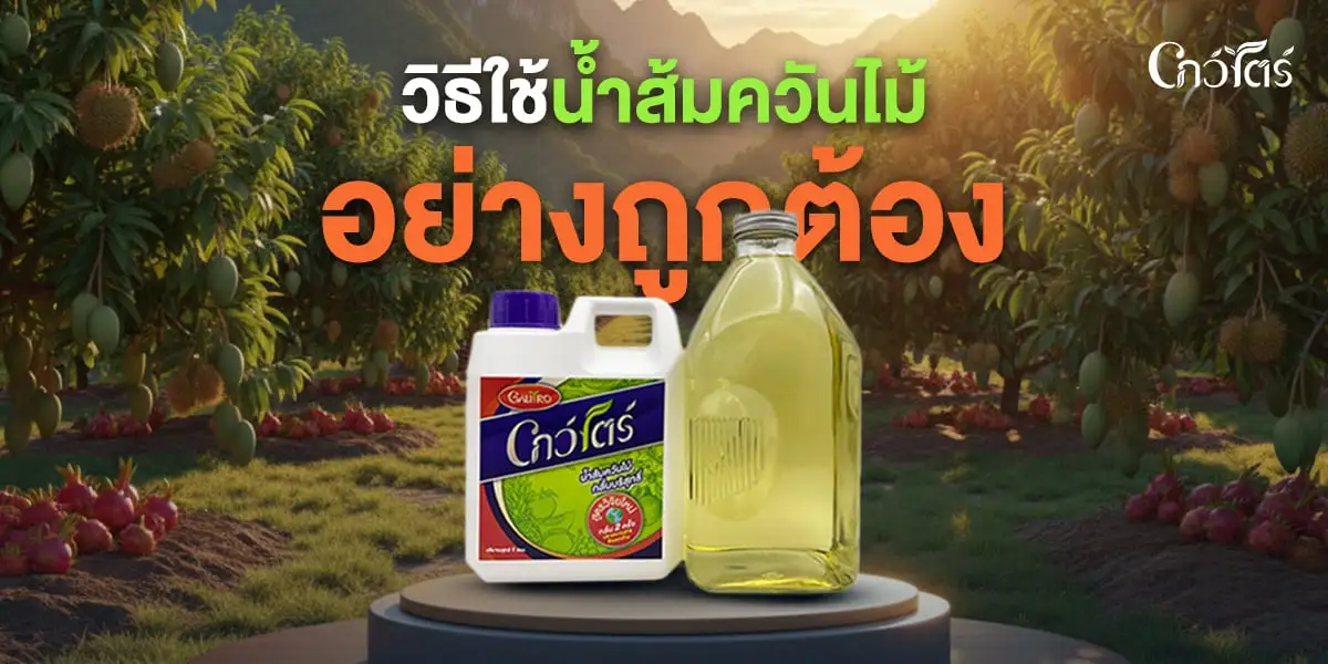 วิธีใช้น้ำส้มควันไม้อย่างถูกต้อง